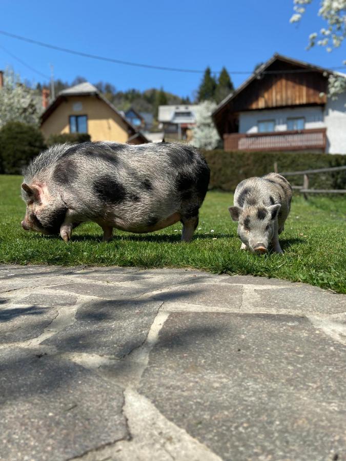Tourist Farm "Pri Biscu" Villa Bled Bagian luar foto
